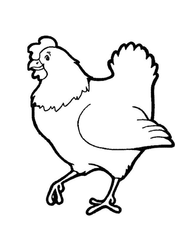 Kura kolorowanki